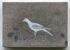 Ptek,  sprej na pltn, 15.5x22 cm, 2004